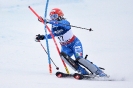 Ski_WM_St.Moritz_2017_0319_Brignone-Federica